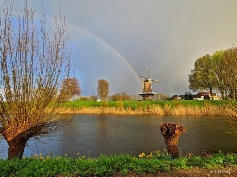 Herfst, de geur van verse baksels, nieuwe mixen en Sinterklaas(?)